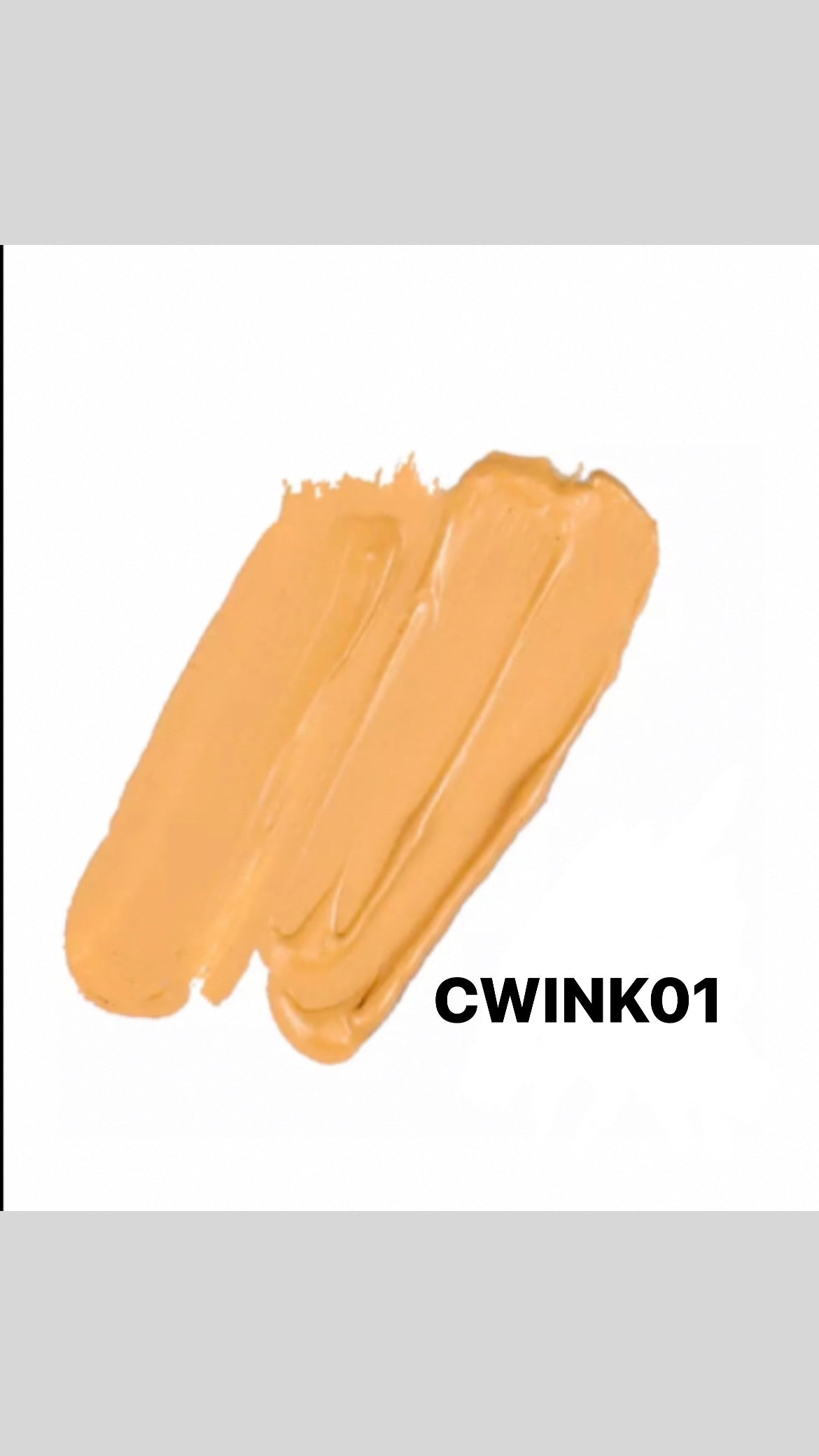 CONCEALER