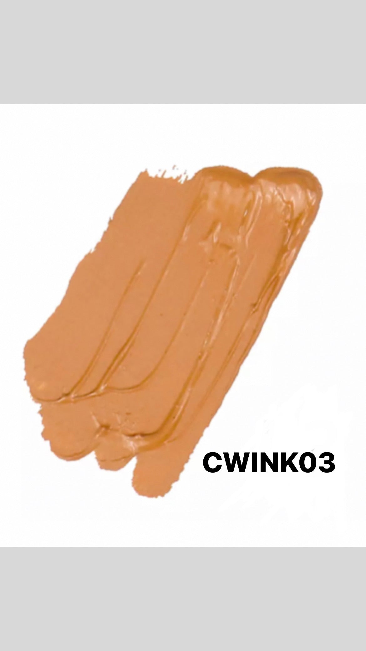 CONCEALER
