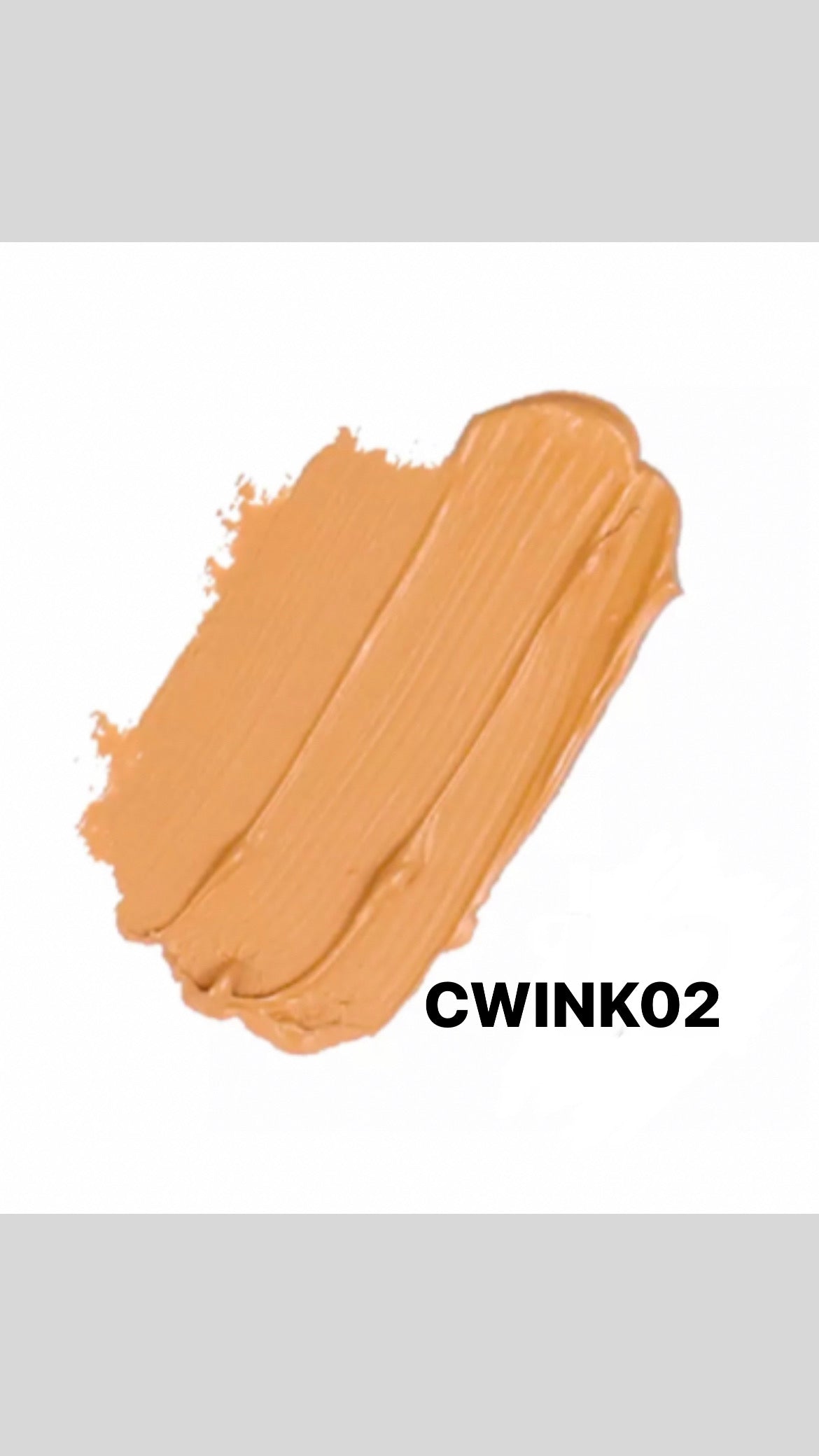 CONCEALER